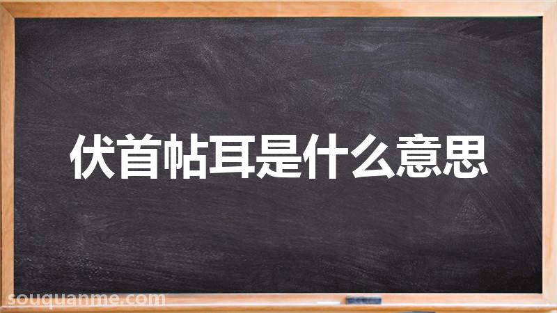 伏首帖耳是什么意思 伏首帖耳的拼音 伏首帖耳的成语解释